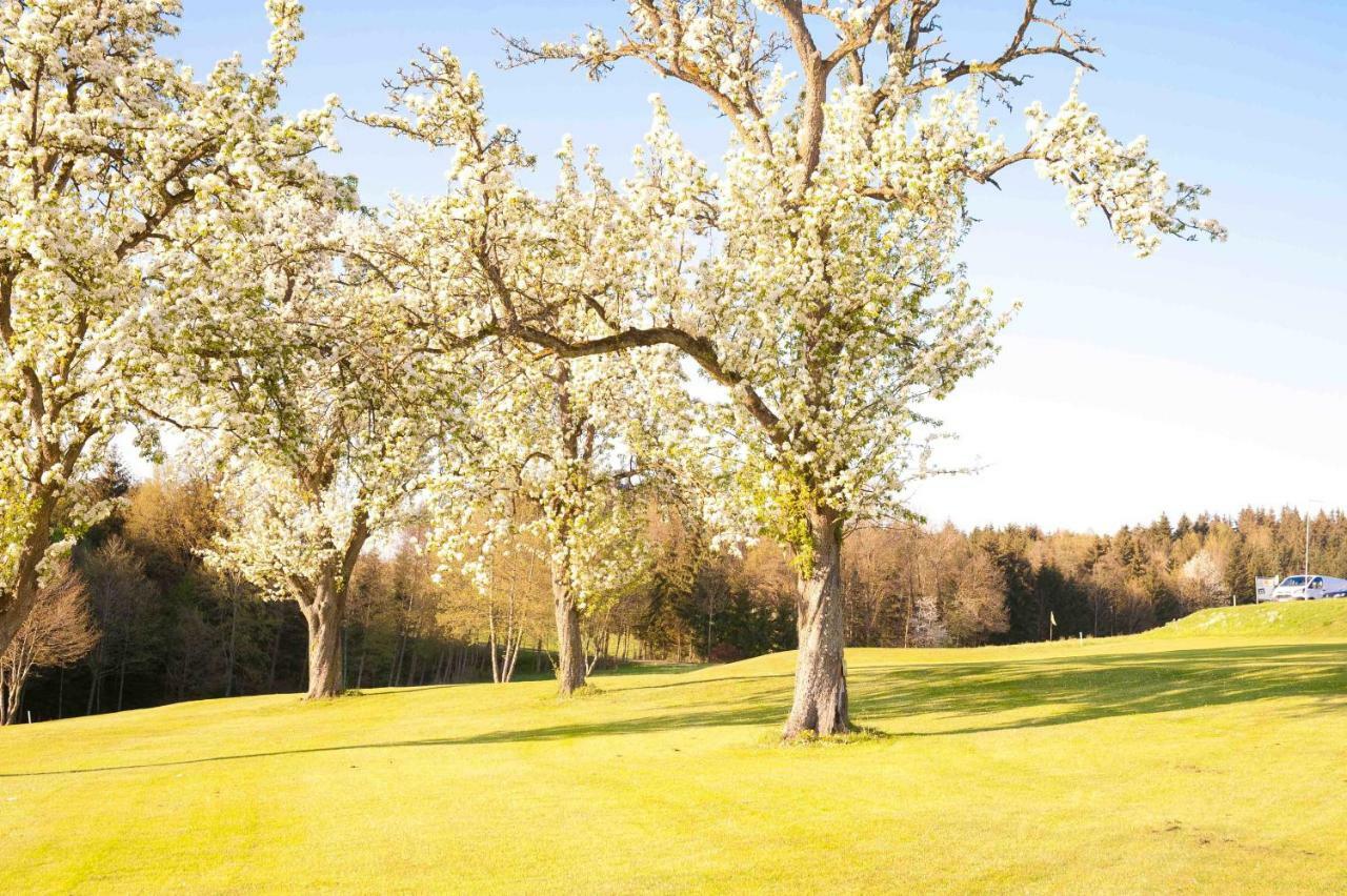 Отель Topfit-Freizeitpark Freinberg Экстерьер фото