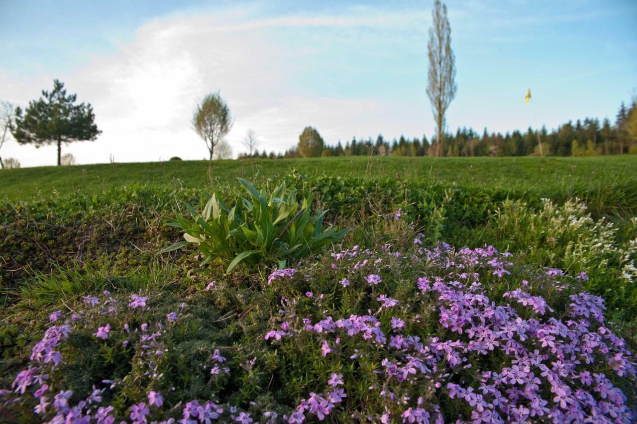 Отель Topfit-Freizeitpark Freinberg Экстерьер фото